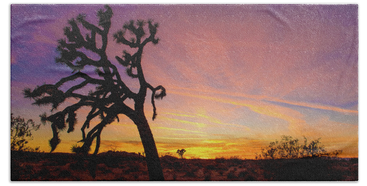 Joshua Tree Bath Towel featuring the photograph Mojave Desert Sunset by Aileen Savage