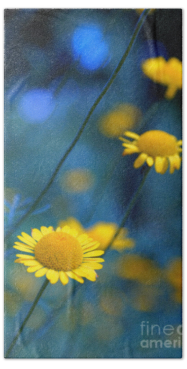 Daisies Bath Towel featuring the photograph Momentum 04a by Variance Collections