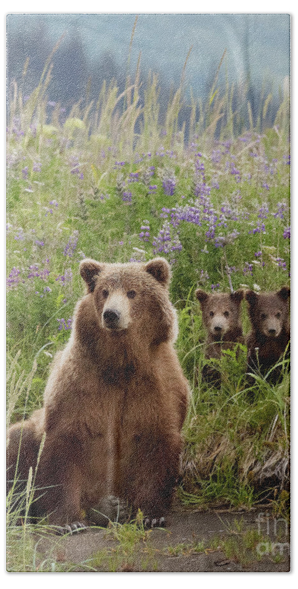 Endangered Hand Towel featuring the photograph Momma and Twin Bear Cubs in the Lupines by Linda D Lester