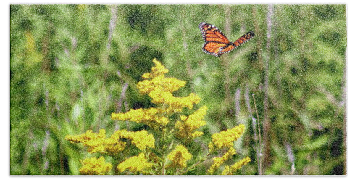 Monarch Bath Towel featuring the photograph Monarch and Goldenrod by Alice Terrill