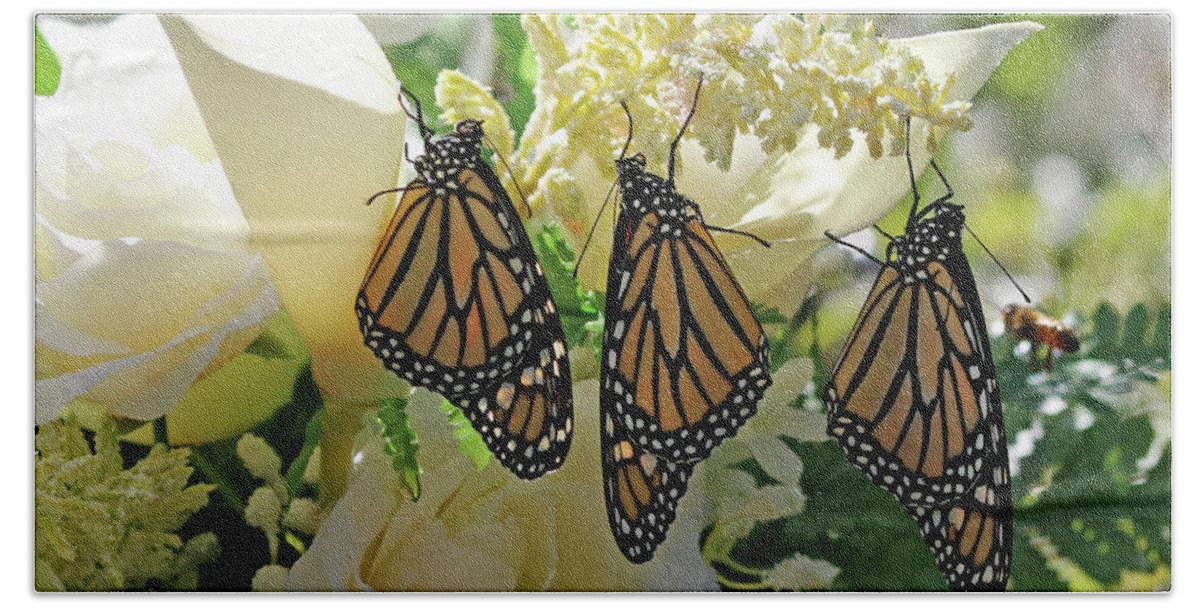 Monarch Butterfly Photo Hand Towel featuring the photograph Monarch Butterfly Garden by Luana K Perez
