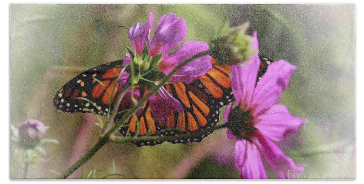 Monarch Butterfly Bath Towel featuring the photograph Monarch butterfly on the Pink Cosmos by Yumi Johnson