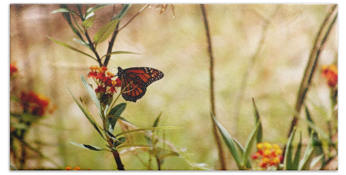 Monarch Butterfly Bath Towel featuring the photograph Monarch Feeding Ground by Craig Wood