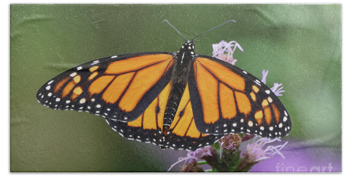 Monarch Butterfly Bath Towel featuring the photograph Monarch on Spiked Blazing Star by Robert E Alter Reflections of Infinity