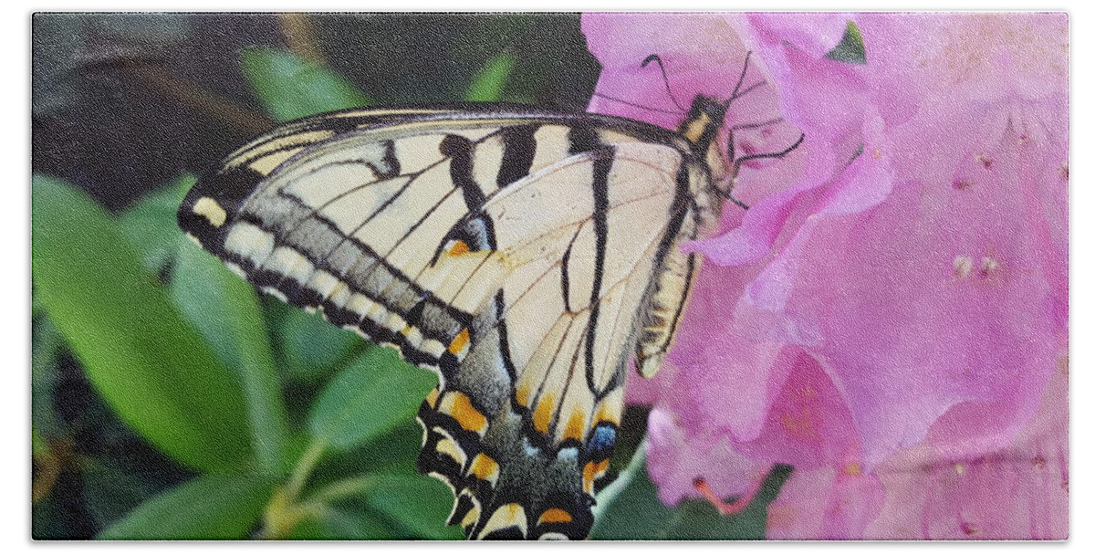 Butterfly Bath Towel featuring the photograph Tuesday One by Dani McEvoy