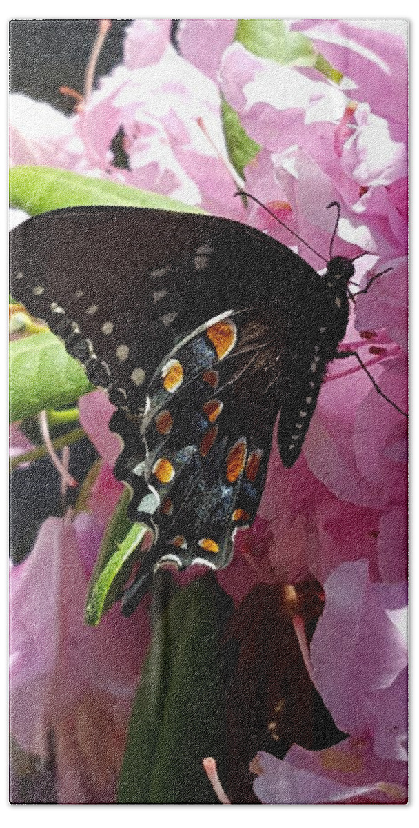 Butterfly Bath Towel featuring the photograph Tuesday Two B by Dani McEvoy