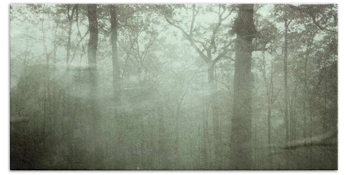 Fog Hand Towel featuring the photograph Moody Foggy Forest by Doris Aguirre