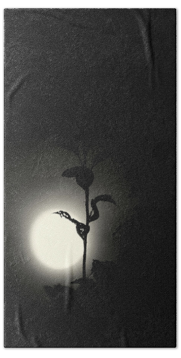Moon Hand Towel featuring the photograph Moon by Jolly Van der Velden