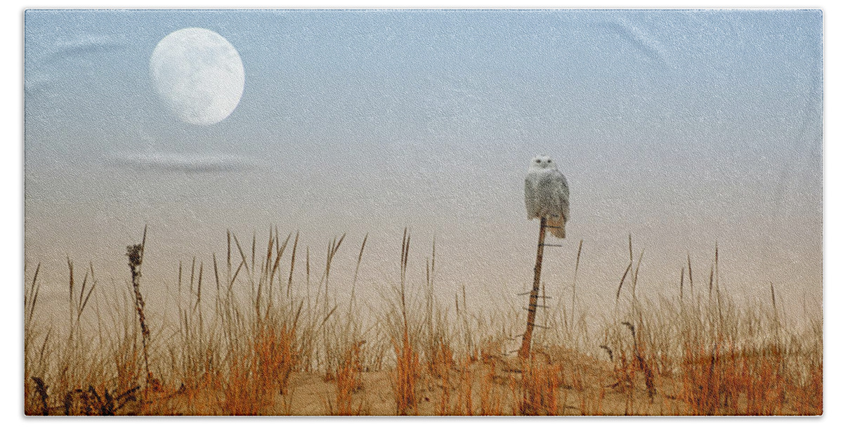 Moon Rise Snowy Owl Hand Towel featuring the photograph Moon Rise Snowy Owl by Raymond Salani III