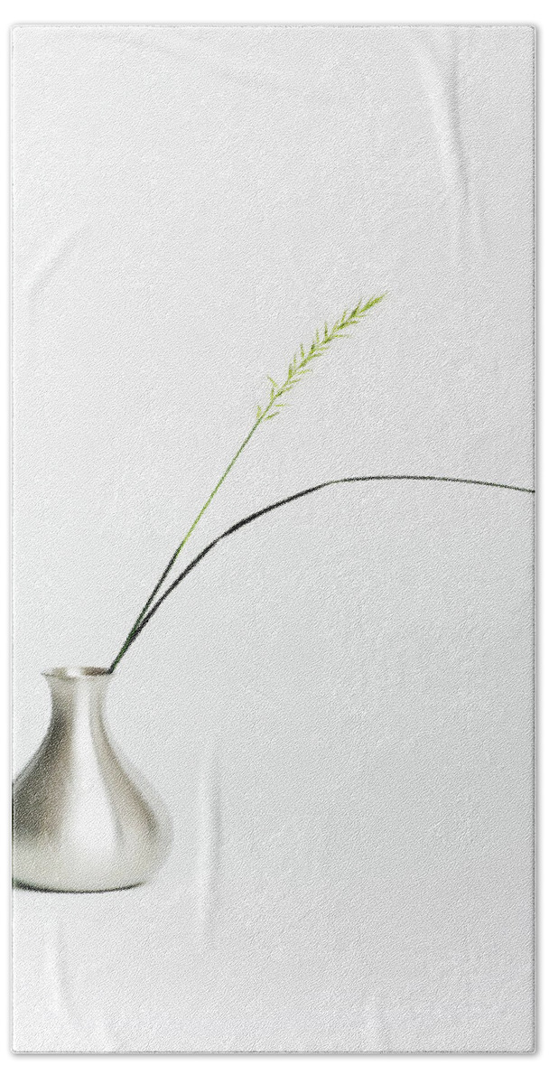 Vase Hand Towel featuring the photograph Moonglow II by Richard Macquade