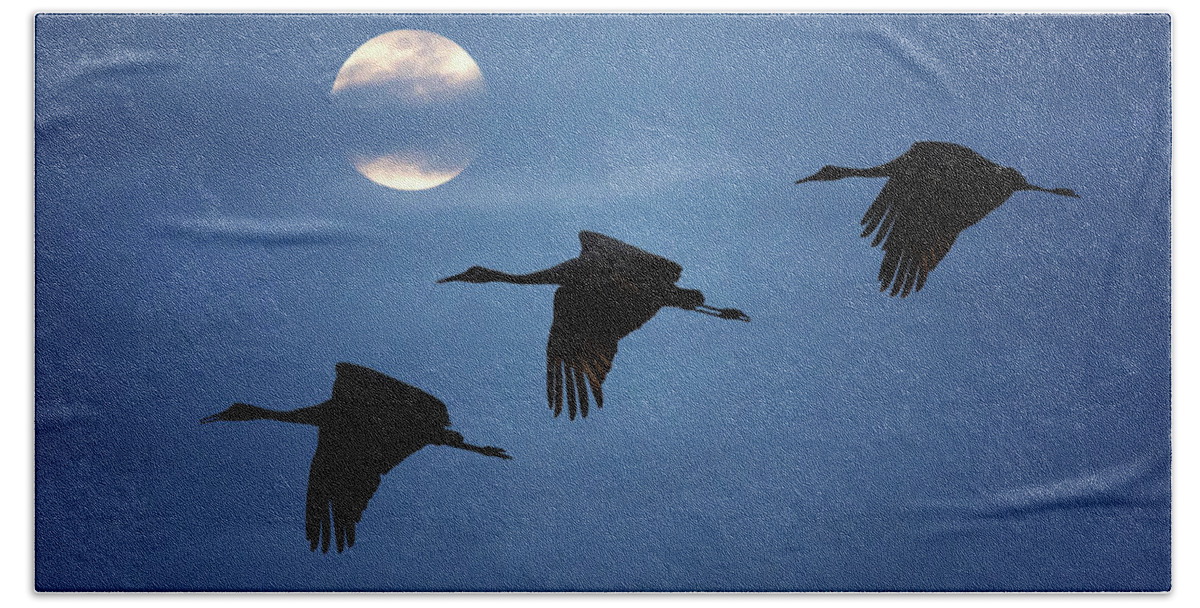 Sandhill Crane Hand Towel featuring the photograph Moonlit Flight by Susan Rissi Tregoning