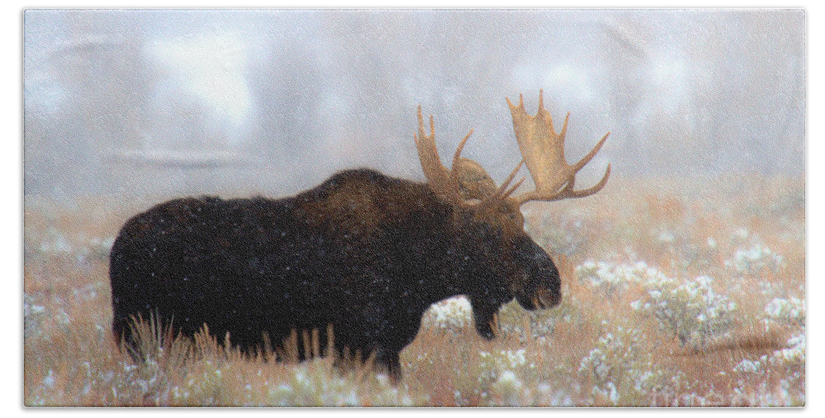 Moose Bath Towel featuring the photograph Moose In The Fog Silhouette by Adam Jewell