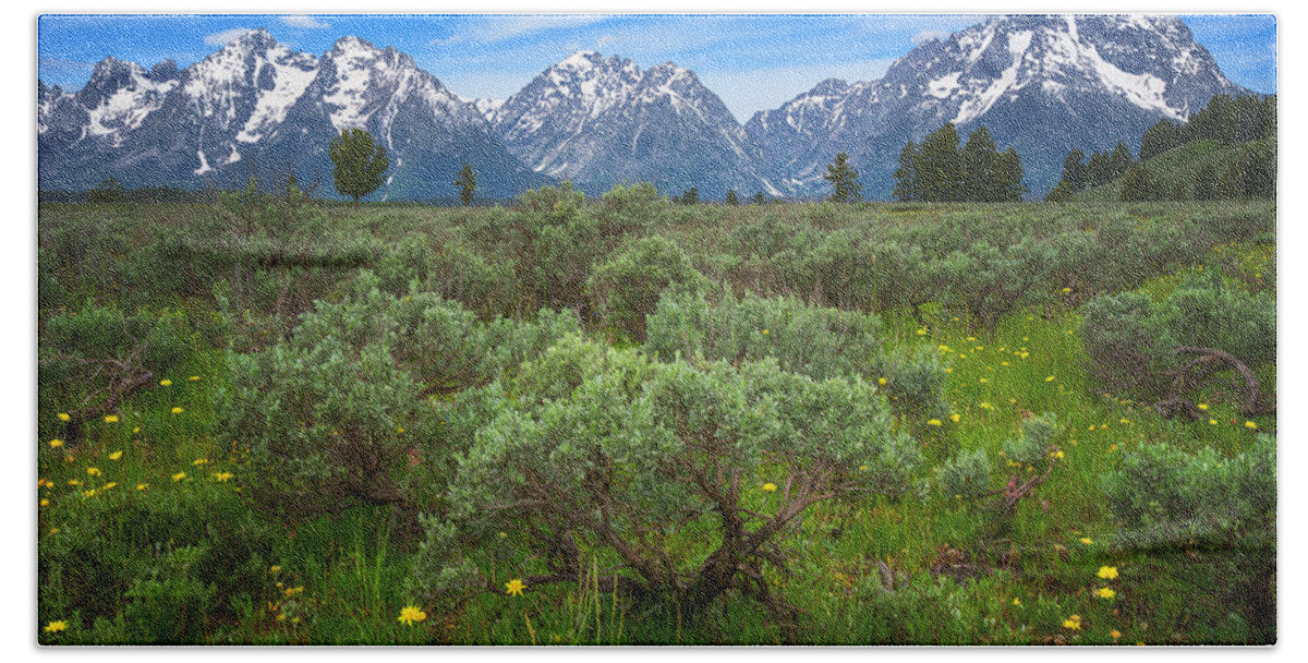 Grand Tetons Hand Towel featuring the photograph Moran Meadows by Darren White