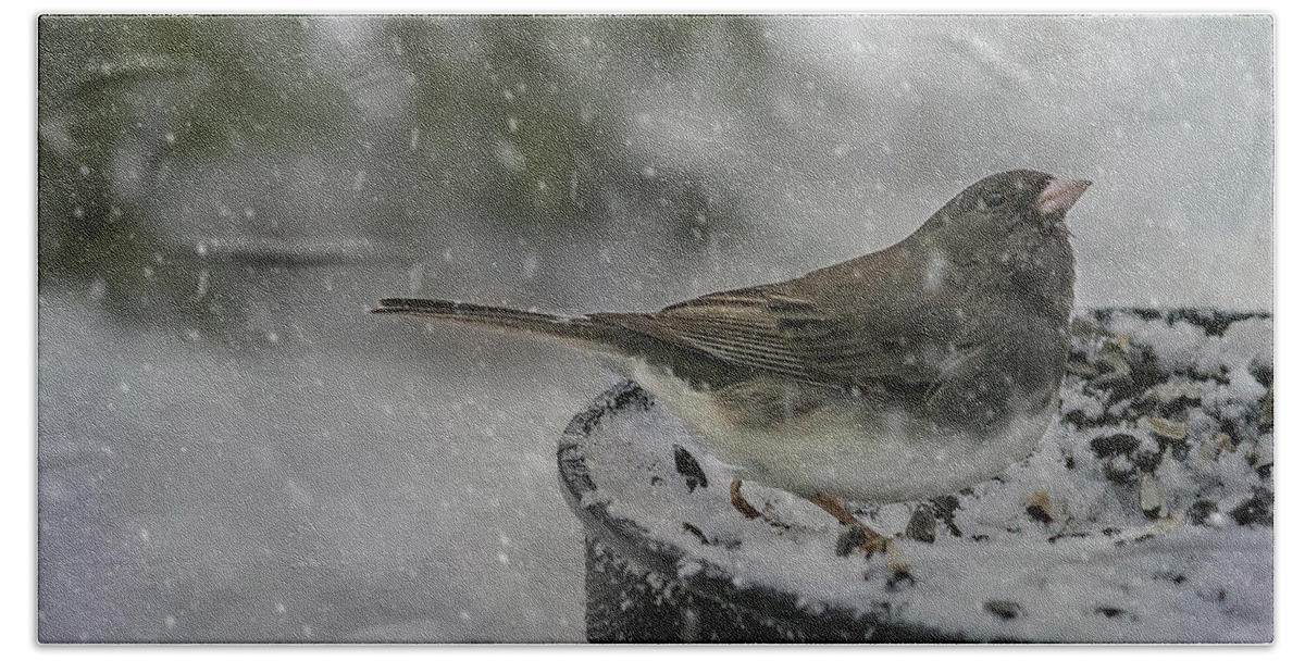 Bird Hand Towel featuring the photograph More Snow? by Cathy Kovarik