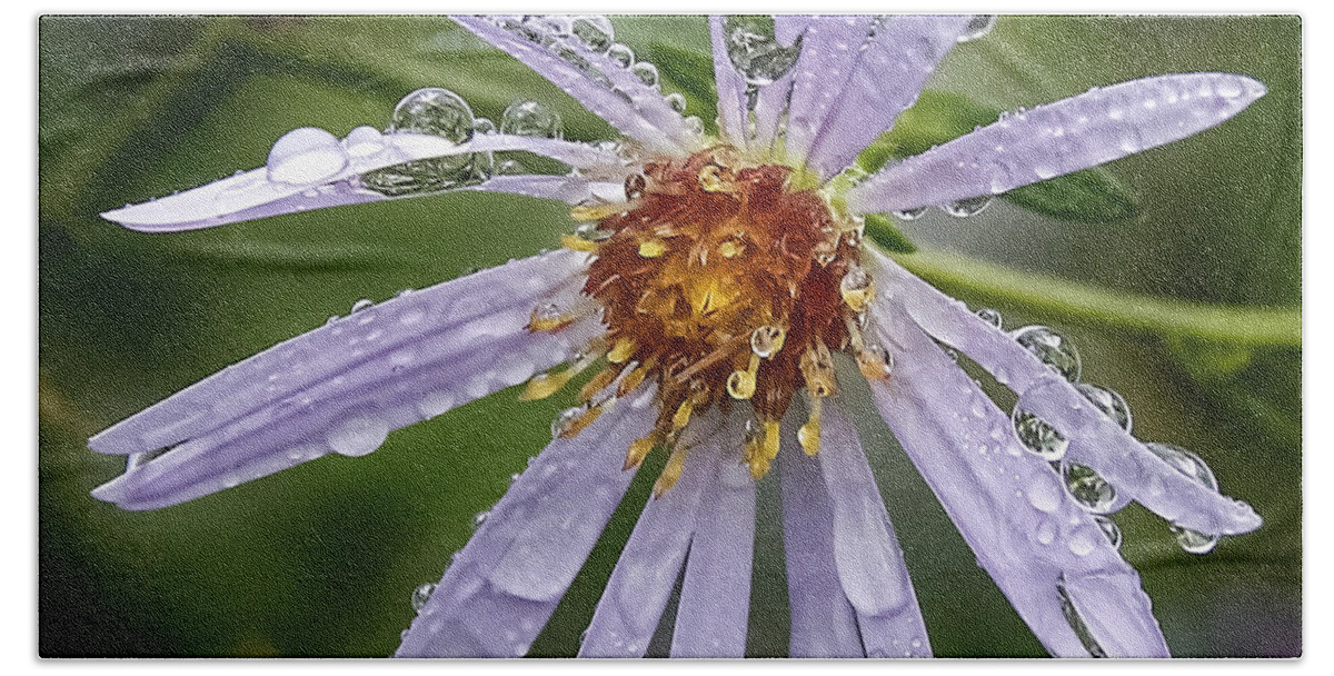 Morning Dew Bath Towel featuring the photograph Morning Dew by Wes and Dotty Weber
