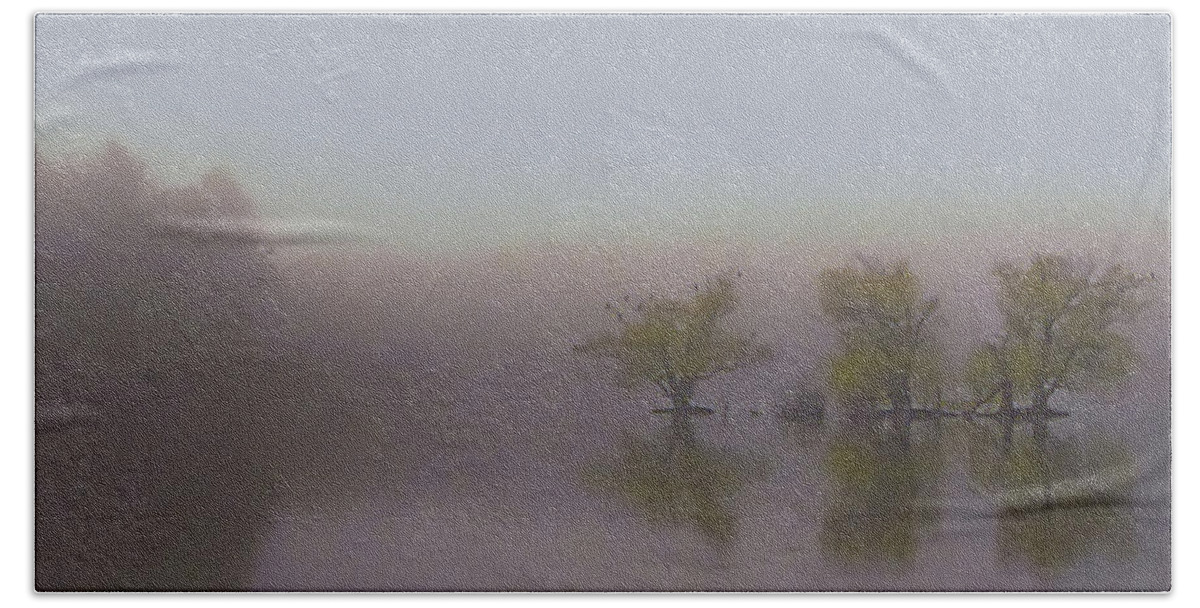 Horn Pond Hand Towel featuring the photograph Morning Fog by Jeff Heimlich
