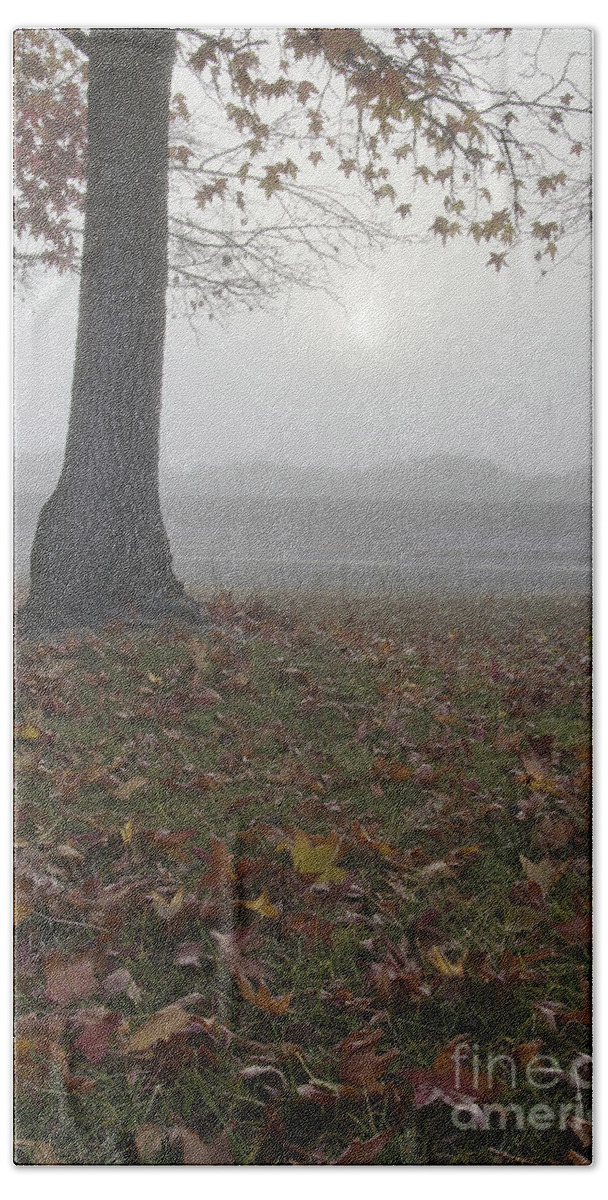 Central Valley Hand Towel featuring the photograph Morning Fog by Jim And Emily Bush