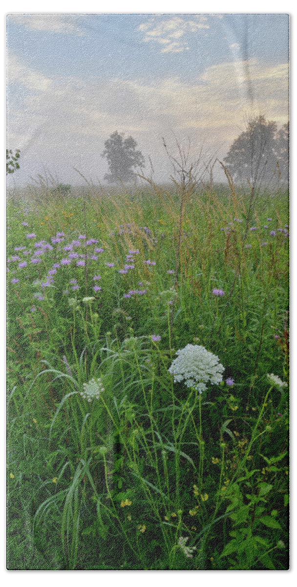 Black Eyed Susan Bath Towel featuring the photograph Morning Fog over Glacial Park Prairie by Ray Mathis
