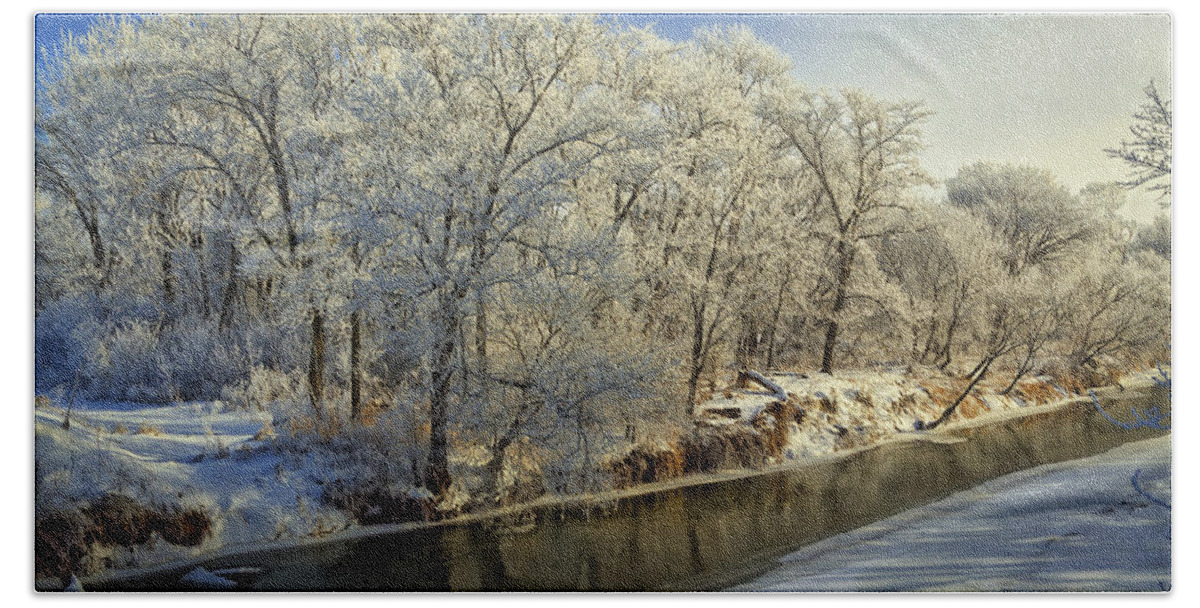 Winter Landscape Hand Towel featuring the photograph Morning Icing Along the Creek by Bruce Morrison
