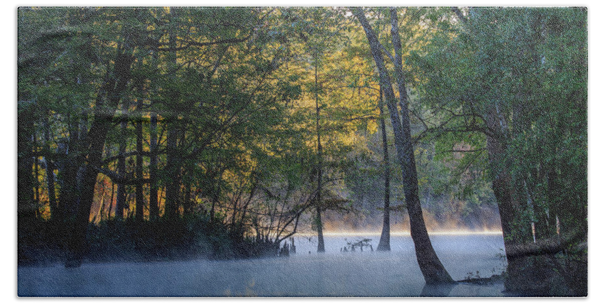 Florida Hand Towel featuring the photograph Morning Light at Ginnie Springs by Stefan Mazzola