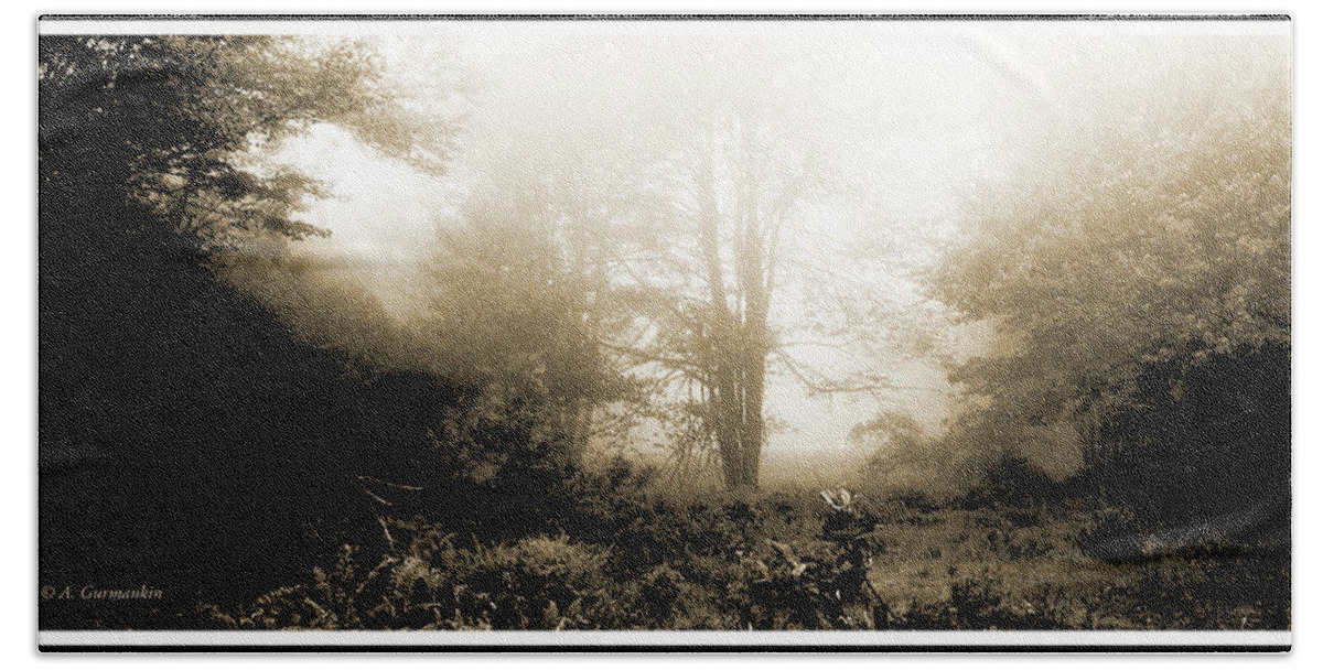 Morning Mist At A Forest Edge Bath Towel featuring the photograph Morning Mist by A Macarthur Gurmankin