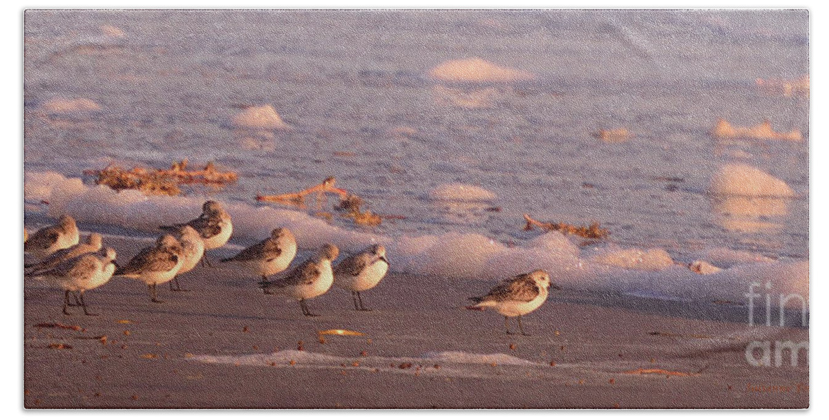 Sandpiper Prints Hand Towel featuring the photograph Morning Sandpipers by Julianne Felton