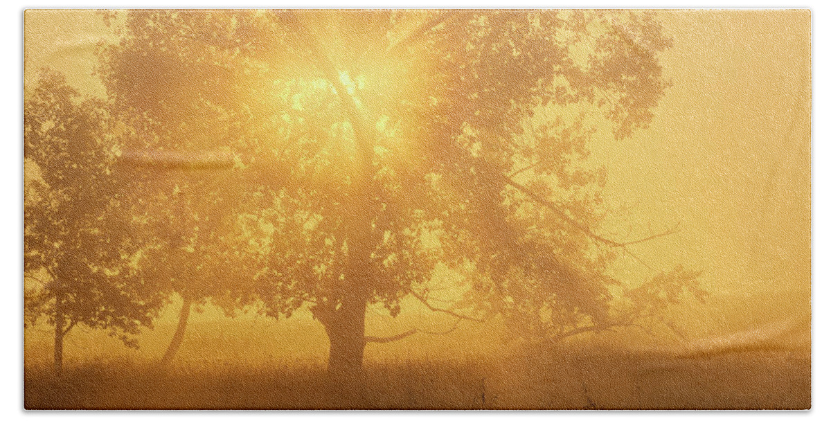 Sunrise Hand Towel featuring the photograph Morning Sun by Dan Jurak