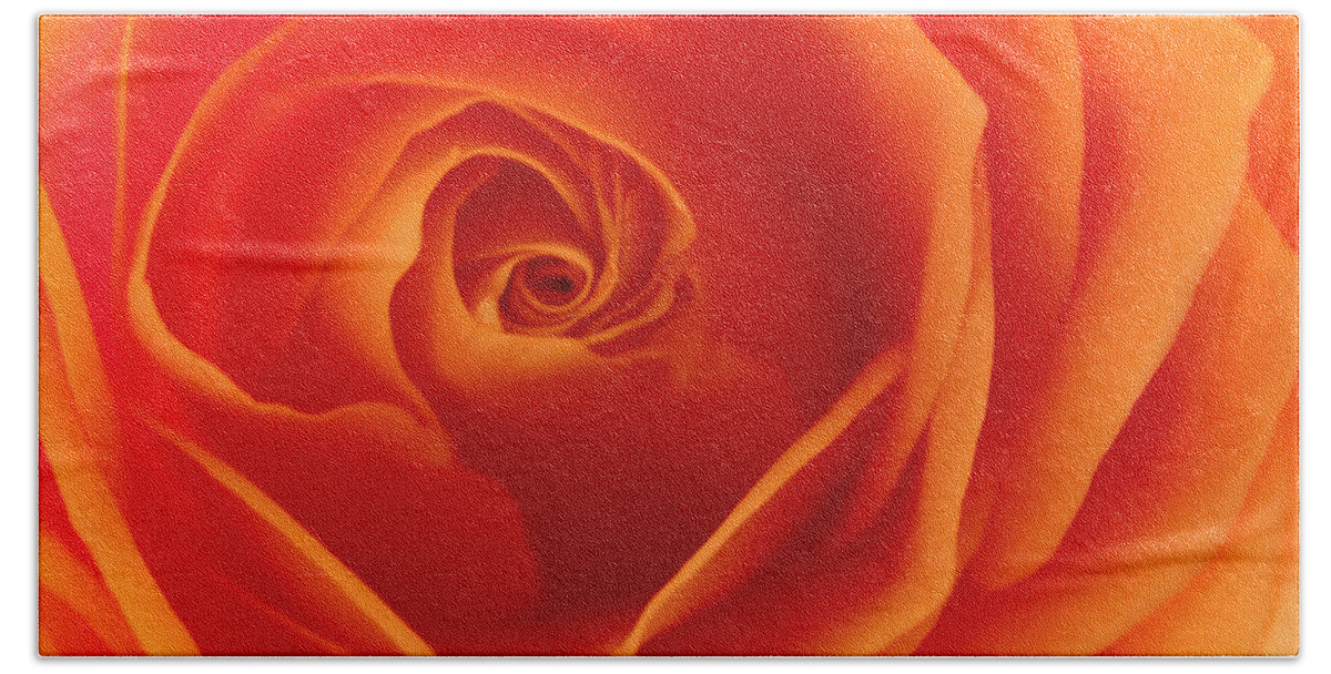 Rose Hand Towel featuring the photograph Morning Sunrise by Krissy Katsimbras