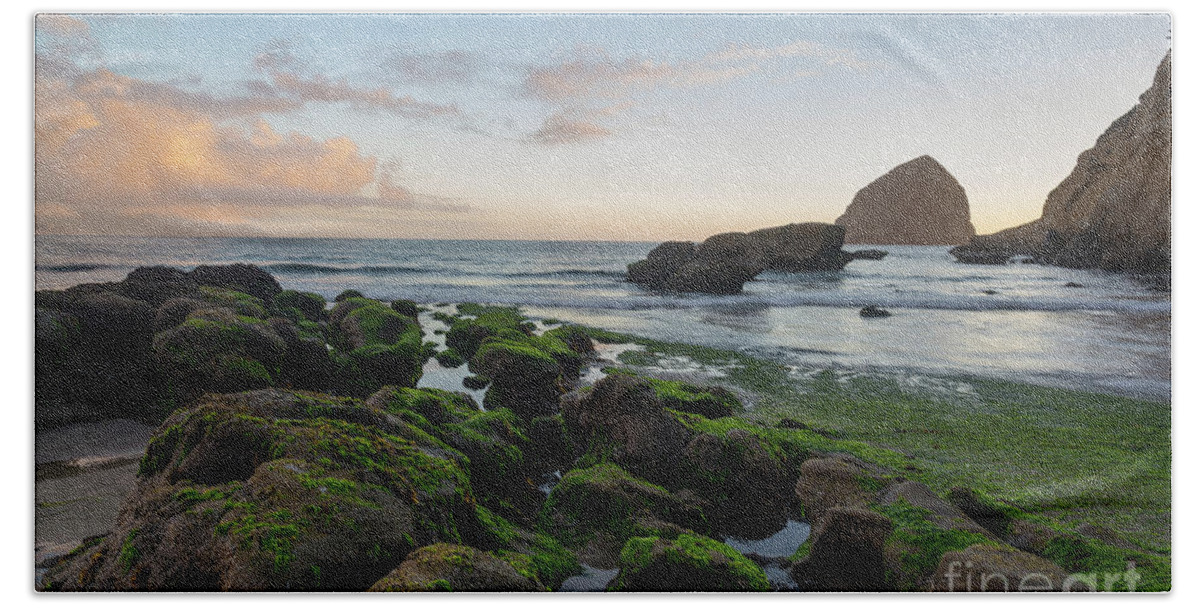 Oregon Coast Bath Towel featuring the photograph Mossy rocks at the beach by Paul Quinn