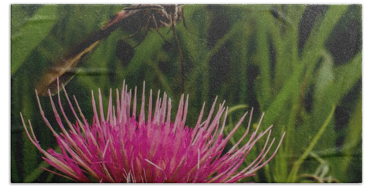 Macro Bath Towel featuring the photograph Moth 1 by Christy Garavetto