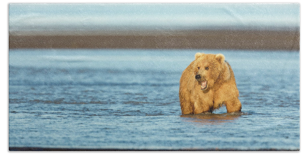 Grizzly Bear Bath Towel featuring the photograph Mother Grizzly Fishing by Mark Harrington