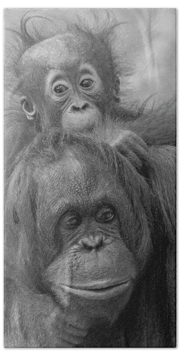 Orangutan Bath Towel featuring the photograph Motherhood 14 by Larry Linton