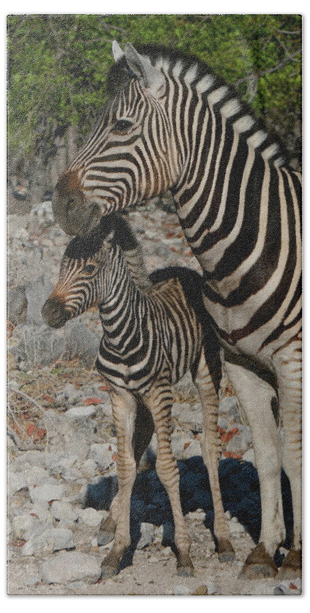 Zebra Bath Towel featuring the photograph Motherly Love by Bruce J Robinson