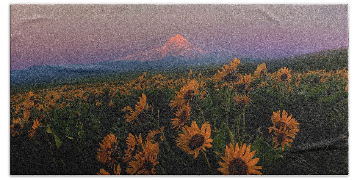 Mount Hood Bath Towel featuring the photograph Mount Hood and Balsam Root Blooming in Spring by David Gn