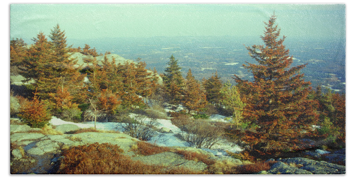 New Hampshire Bath Towel featuring the photograph Mount Monadnock Spruce Injury by John Burk