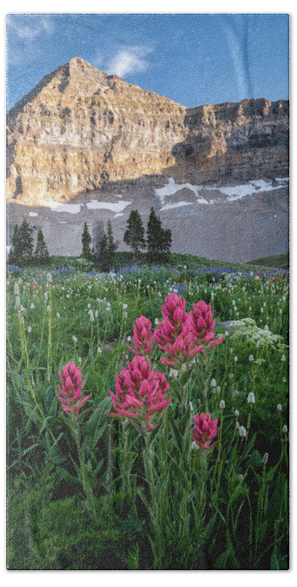 Wildlfowers Hand Towel featuring the photograph Mount Timpanogos Wildflowers by James Udall