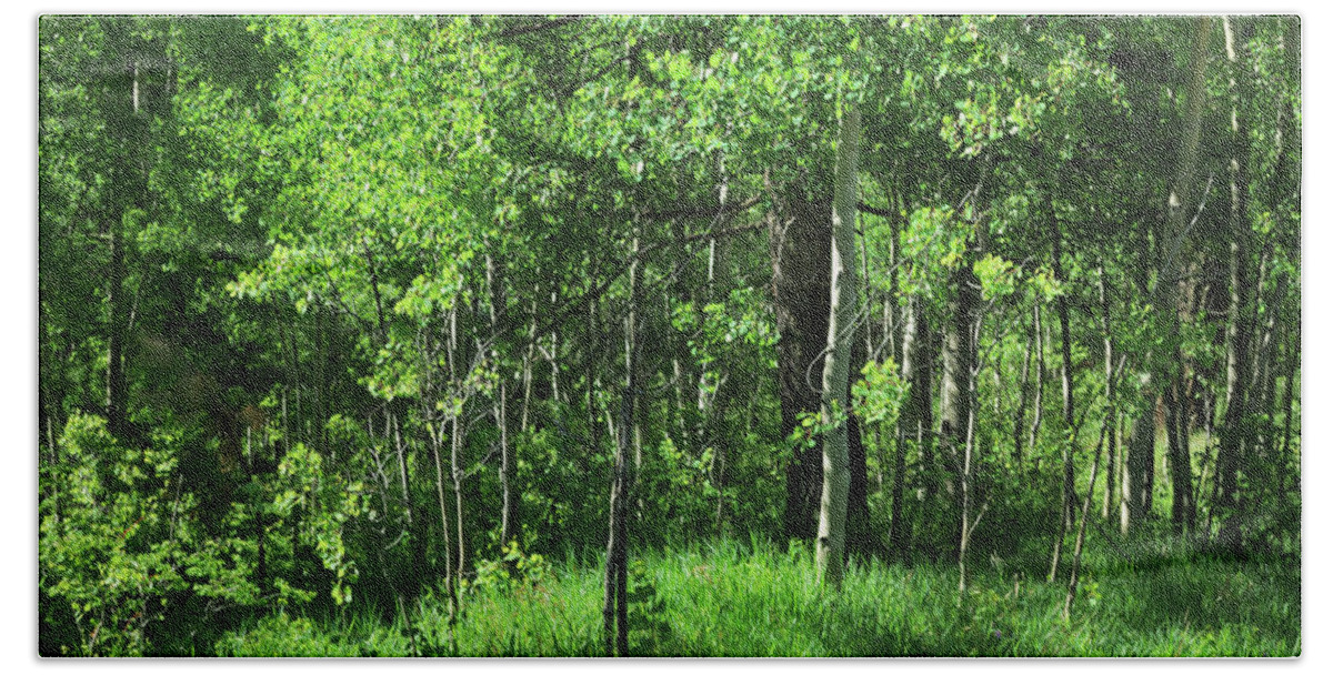 Trees Hand Towel featuring the photograph Mountain Greenery by Ron Cline