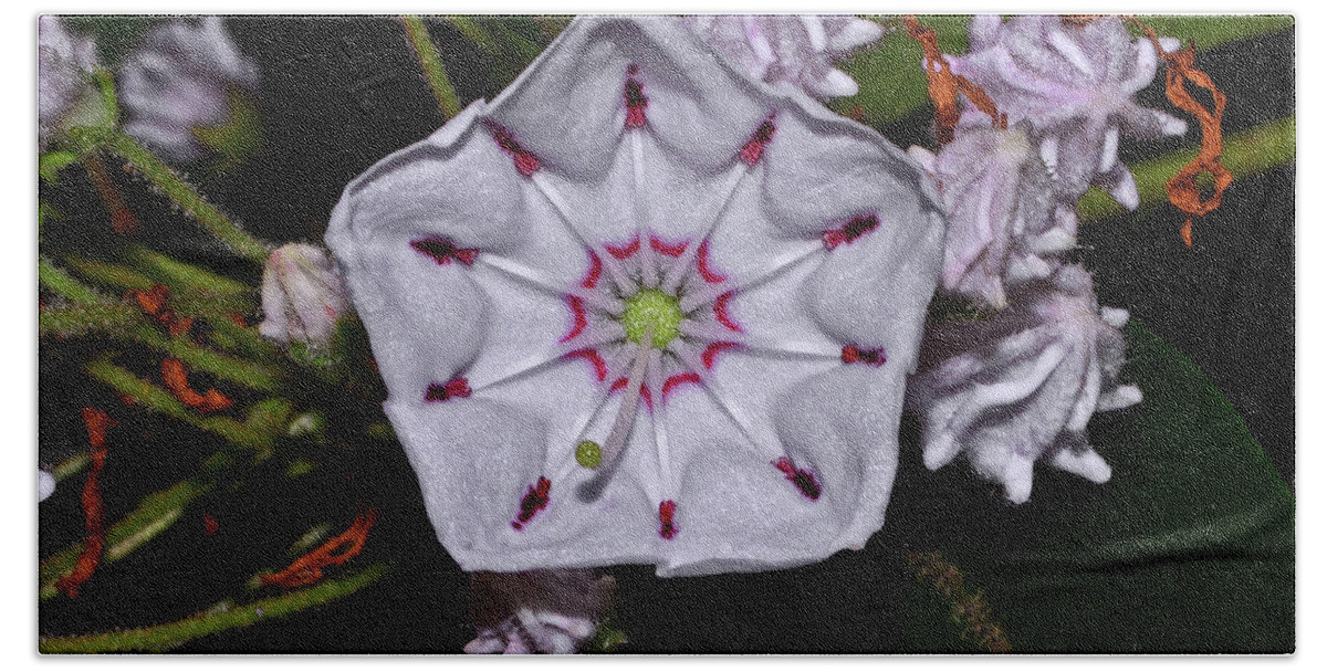 Wildflower Bath Towel featuring the photograph Mountain Laurel 005 by George Bostian