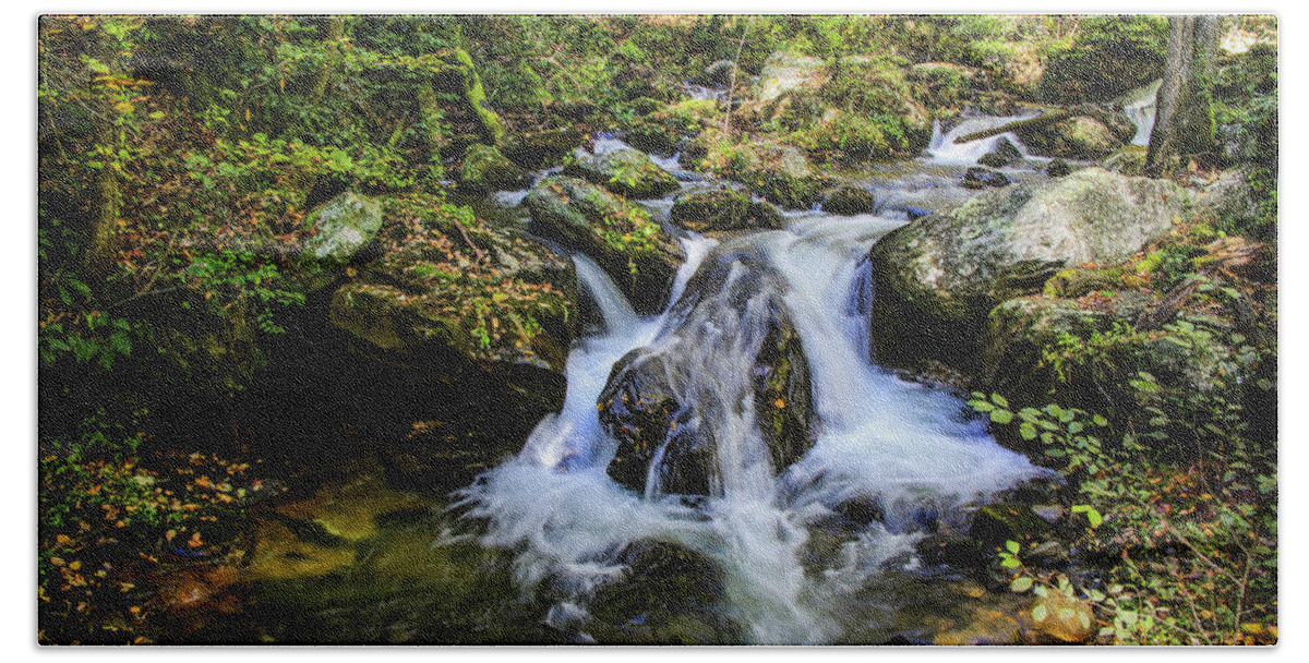 Anna Ruby Falls Bath Towel featuring the photograph Mountain Stream by Dale R Carlson