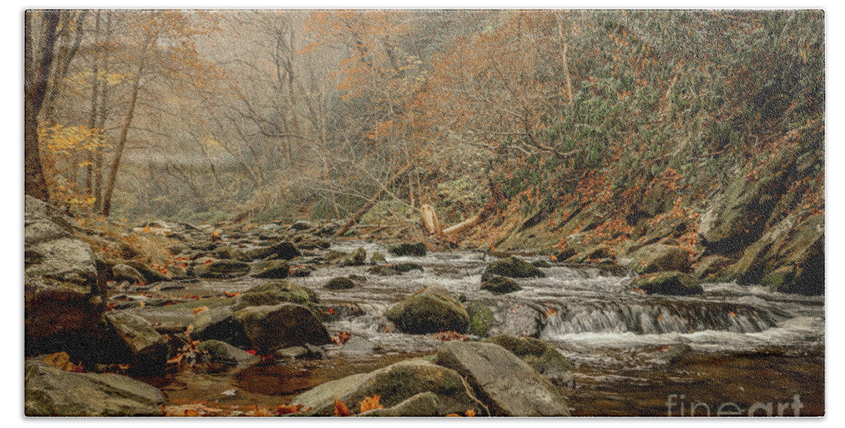 Mountain Stream Bath Towel featuring the photograph Mountain Stream in Fall by Tom Claud