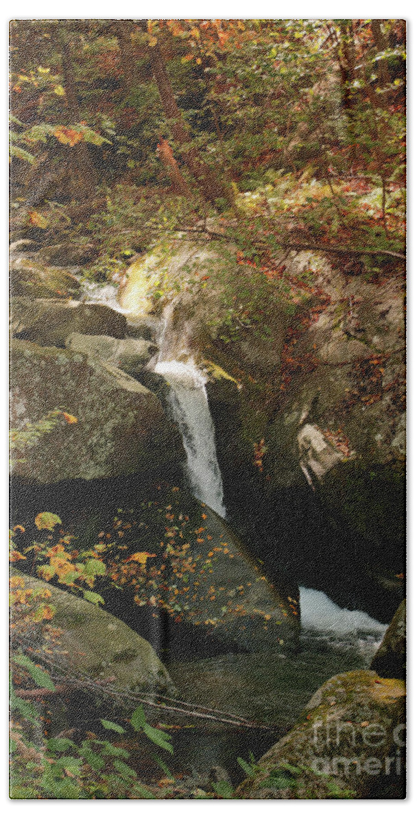 Mountain Bath Towel featuring the photograph Mountain Stream by Rebecca Davis