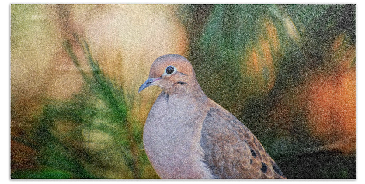 Dove Bath Towel featuring the photograph Mourning Dove Bathed in Autumn Light by Kerri Farley of New River Nature