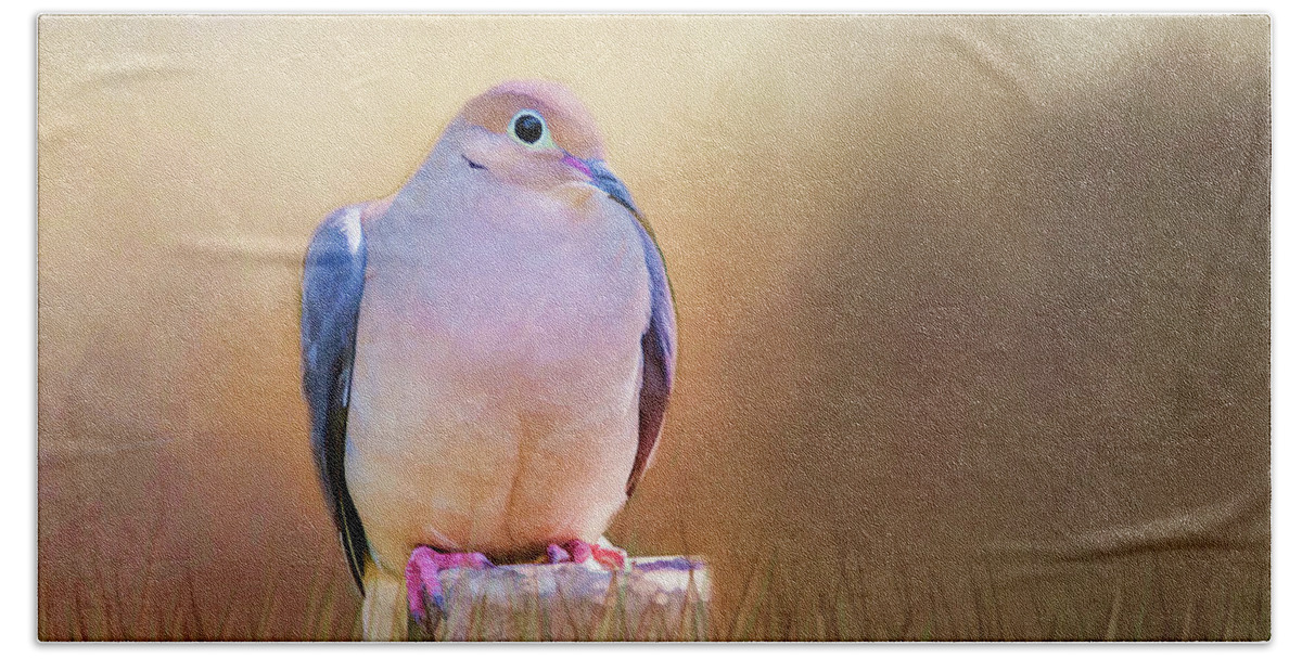 Dove Hand Towel featuring the photograph Mourning Dove Painted Portrait by Cathy Kovarik