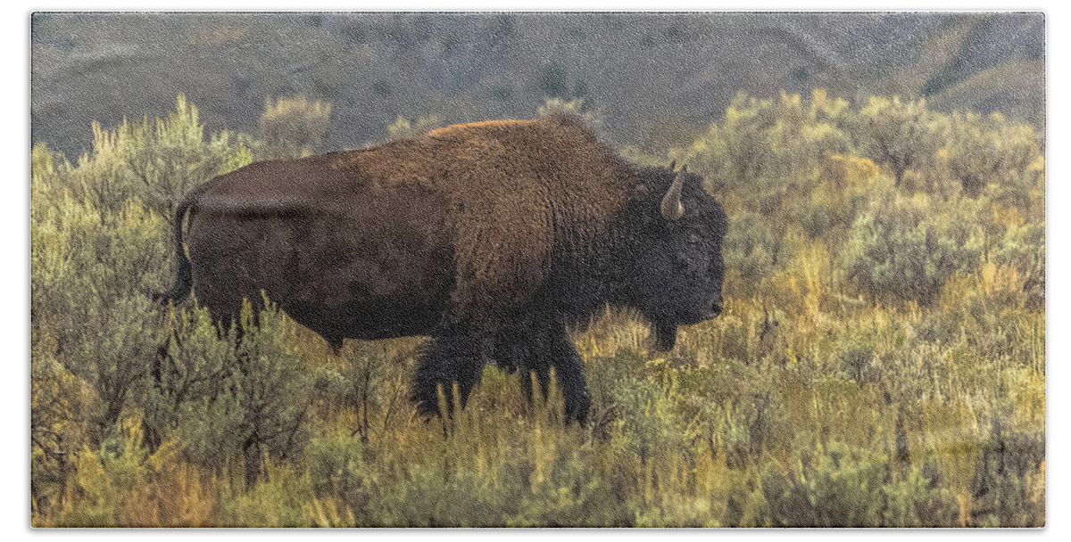 Bison Hand Towel featuring the photograph Moving From Summer Into Fall by Yeates Photography