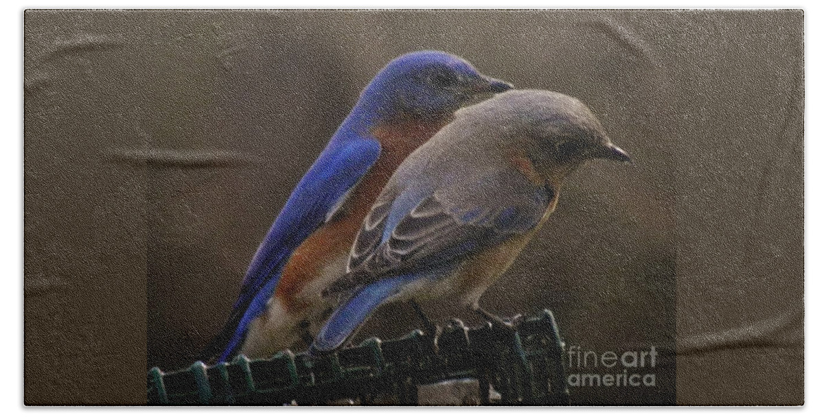 Mr And Mrs Bluebird Hand Towel featuring the photograph Mr and Mrs Bluebird by Earl Williams Jr