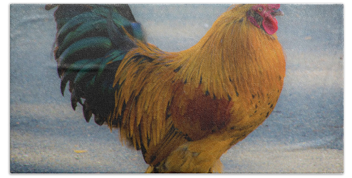 Chicken Bath Towel featuring the photograph Mr.Orange by Steph Gabler