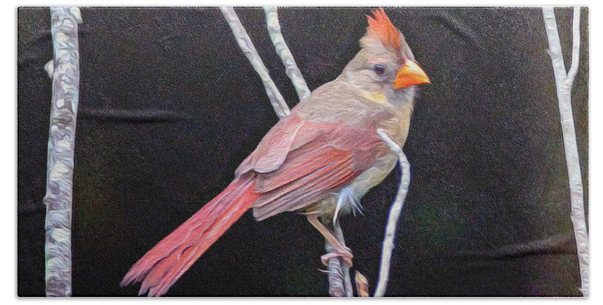 Nature Bath Towel featuring the painting Female Cardinal by DB Hayes