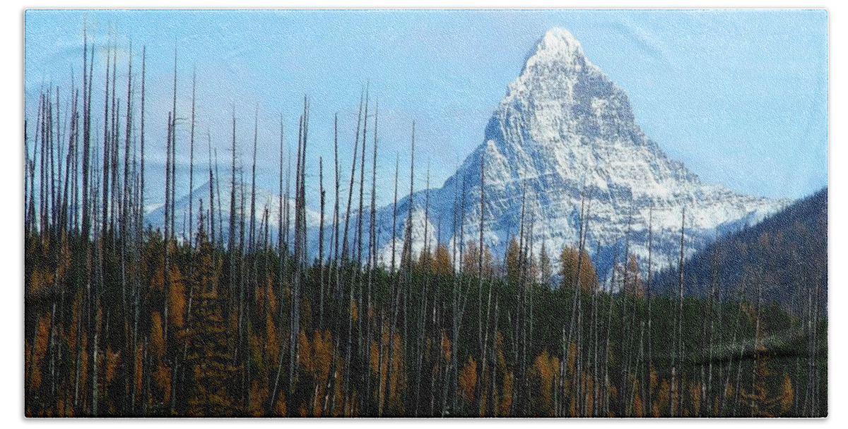 Fall Hand Towel featuring the photograph Mt St Nicolas After the Fire by Tracey Vivar