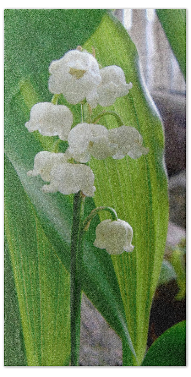 Lily Of The Valley Hand Towel featuring the photograph Muguet Des Bois by Susan Lafleur