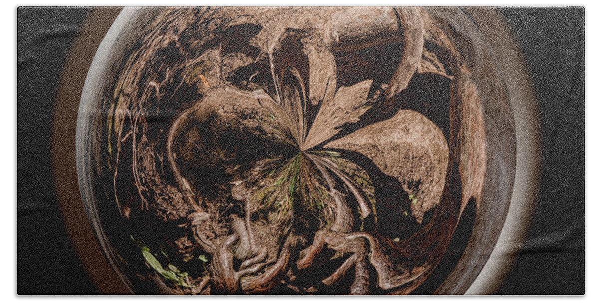 Pattern Hand Towel featuring the photograph Muir Woods Orb by Judy Wolinsky